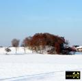 Halde des Schoen Schacht im Revier Kamsdorf bei Saalfeld, Thueringen 16. Dezember 2022 (10).JPG